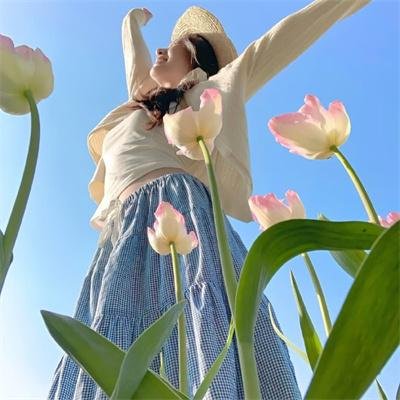 苍蝇